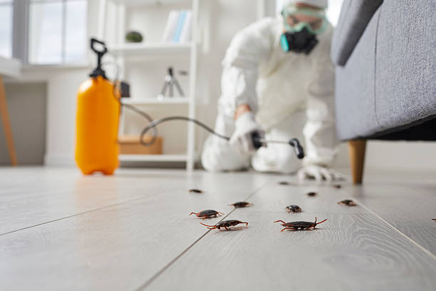 Trusted Fumigation Services service in Salem Lakes, WI - Nex Pest Control