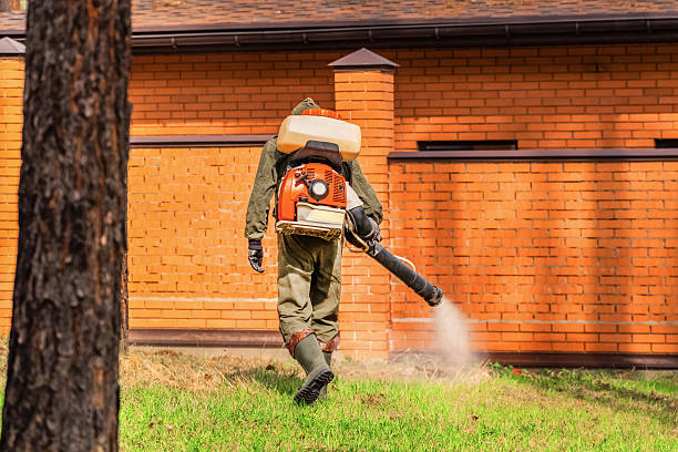 Trusted Mosquito Control service in Salem Lakes, WI - Nex Pest Control